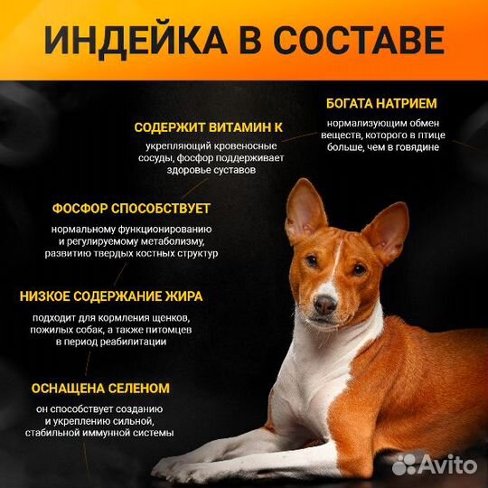 Корм для собак Orange Line с индейкой, 10 кг