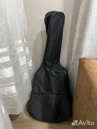 Гитара Terris TC-3901