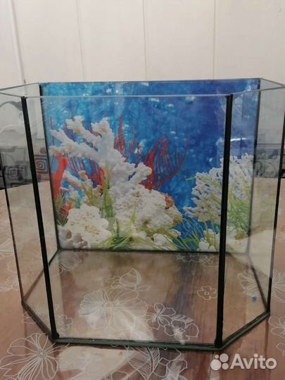 Аквариум