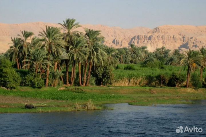 Relax тур в Egypt 6 дн
