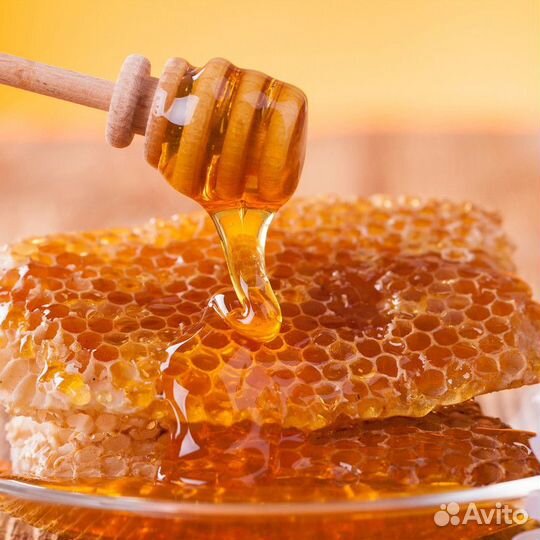 Свежий таежный мед оптом