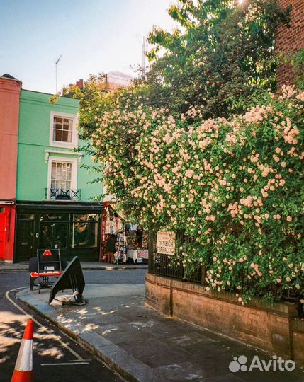 Пленочный фотоаппарат Yashica Clearbook FF