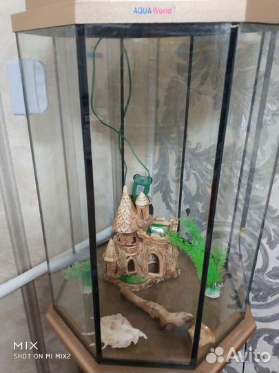 Аквариум