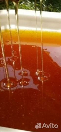 Мед Разнотравье Тёмная 2023г отправка по РФ