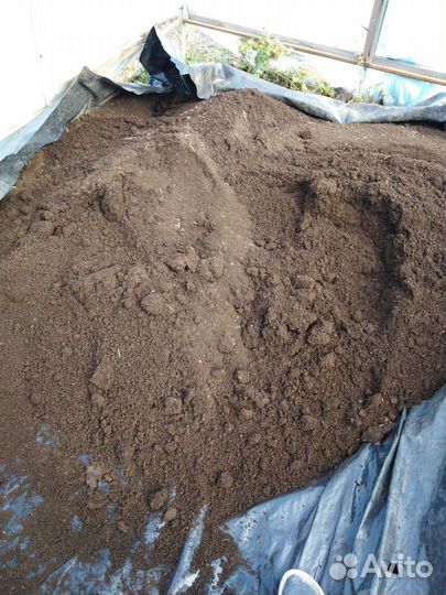 Черви для рыбалки