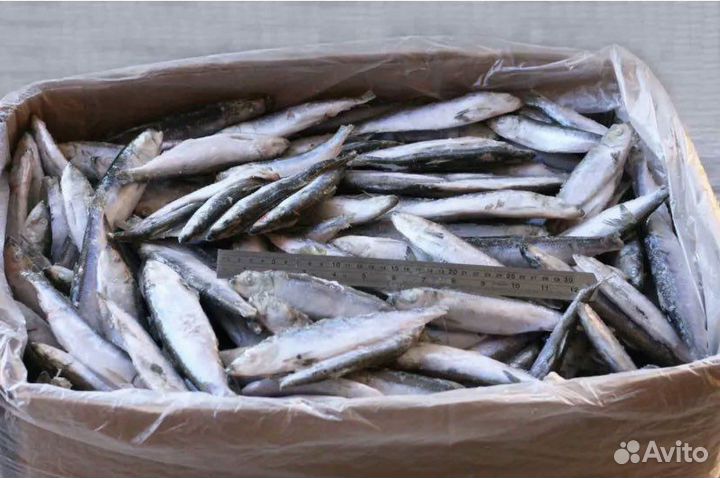 Корма для животных оптом