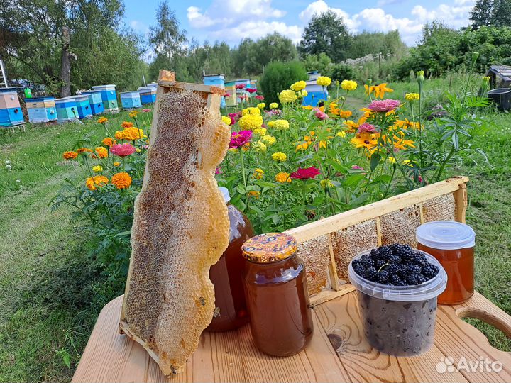 Мед цветочный. Разнотравье. Со своей пасеки