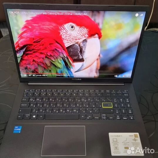 Asus VivoBook 15 oled (i5 1135g7/16gb/512gb)