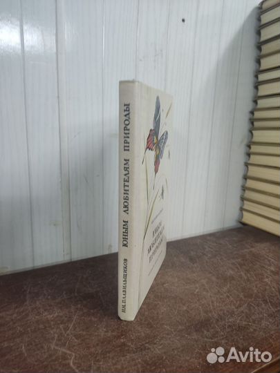 Н. Плавильщиков. Юным любителям природы