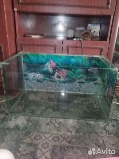 Аквариум