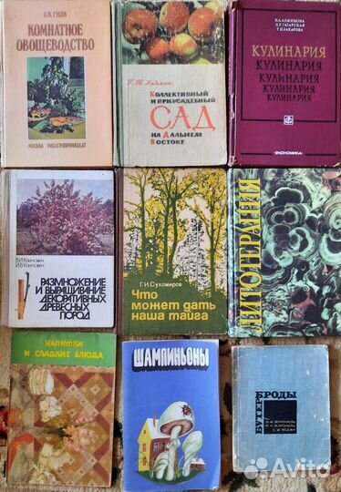 Бестселлеры мира