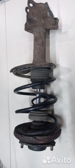 Амортизатор подвески Nissan Almera Tino, 2005