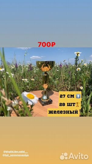 Спортивные кубки