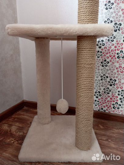 Когтеточка