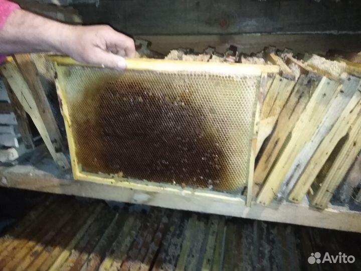 Рамки соты гнездовые дадан