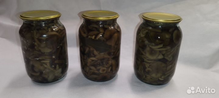 Грибы маринованные