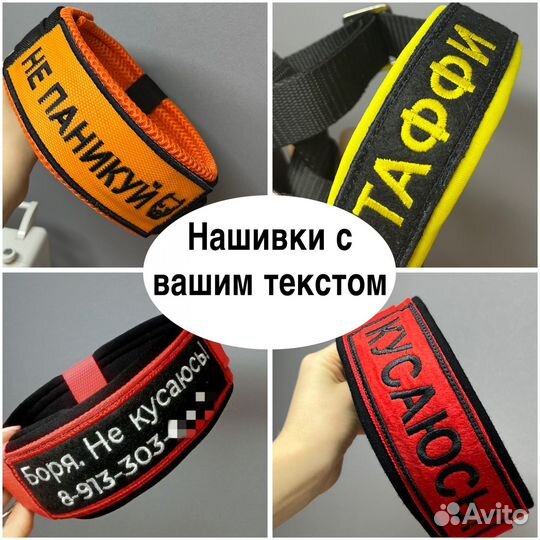 Ошейники, шлейки, недоуздки для собак