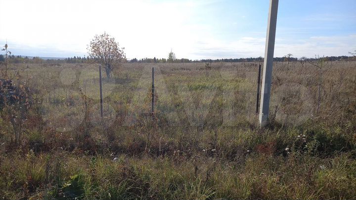 Участок 11 сот. (СНТ, ДНП)
