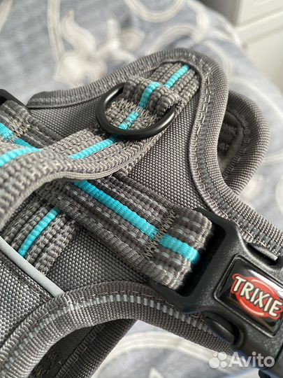 Шлейка для собаки S-M trixie и дождевик petmax