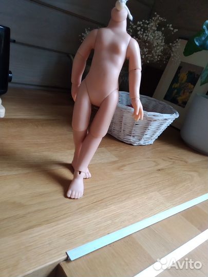 Паоло Рейна шарнирное тело