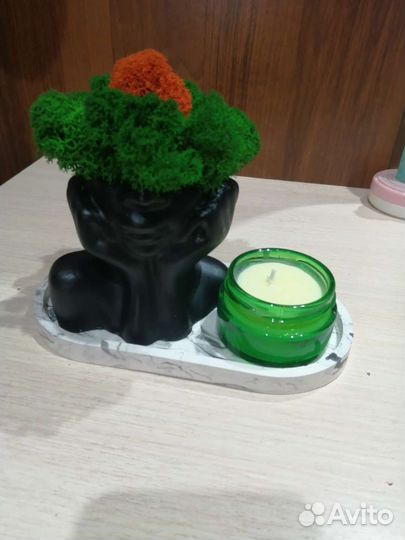 Кашпо со мхом