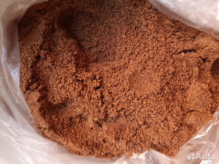 Черемуха молoтaя