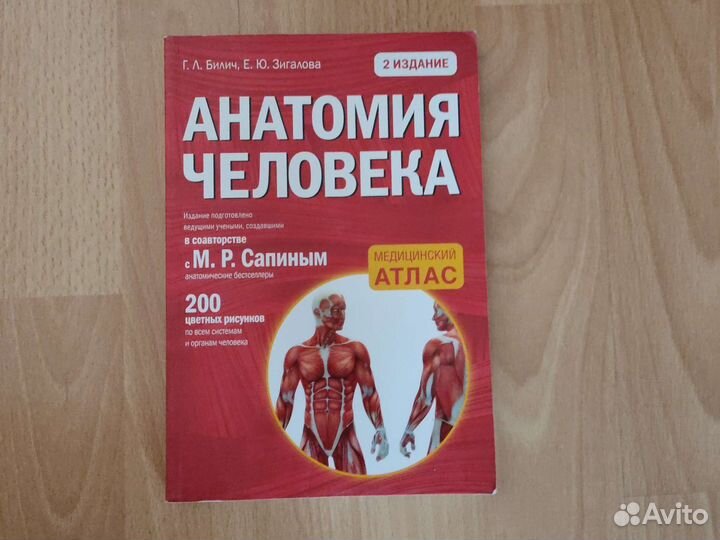 Анатомия человека Г. Л. Билич, Е. Ю. Зигалова