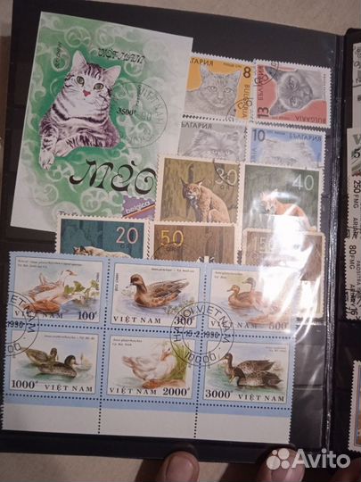 Почтовые марки СССР