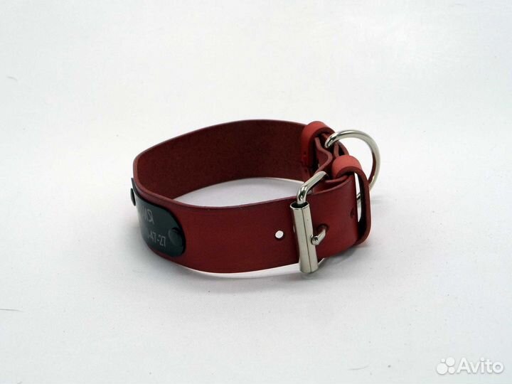 Ошейник для небольших собак с адресником