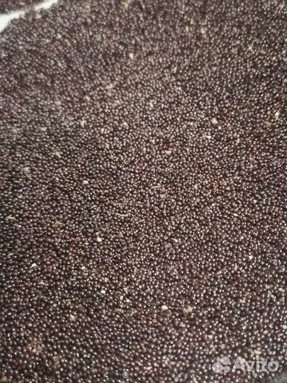 Амарант. Семена