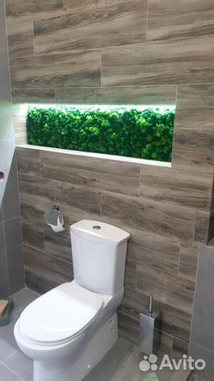 Панель из стабилизированного мха