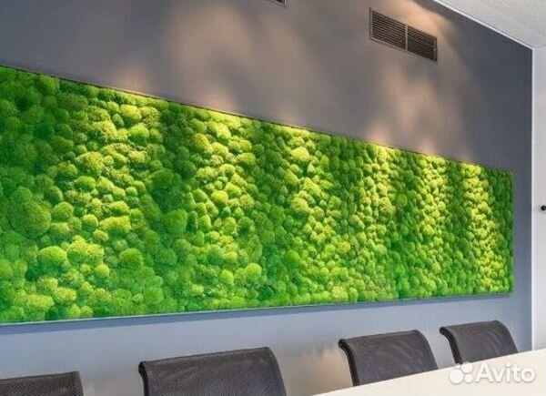 Интернет магазин / Стабилизированные растения