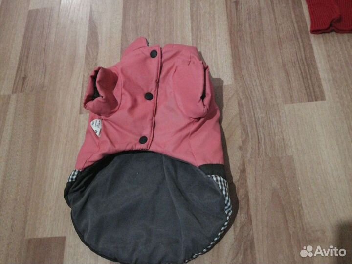 Куртка для маленьких собак