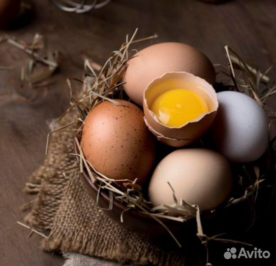 Домашние куриные яйца