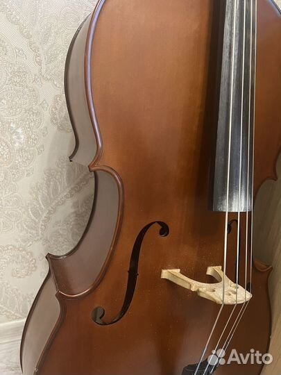 Виолончель 4/4
