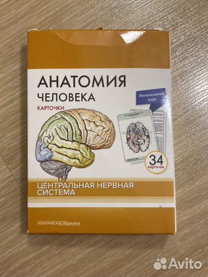 Карточки по анатомии цнс Сапин