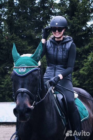 Спортивные лошади в аренду в кск Русский алмаз