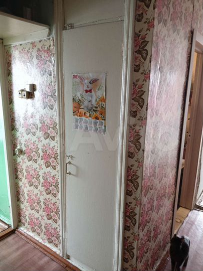 3-к. квартира, 49,4 м², 4/5 эт.