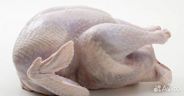 Мясо домашней индейки