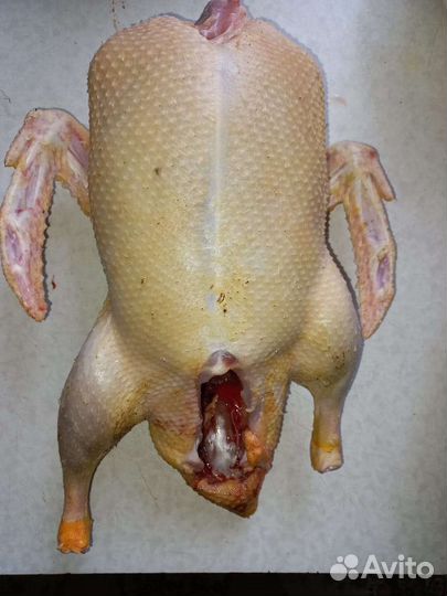 Индейка и мулларды