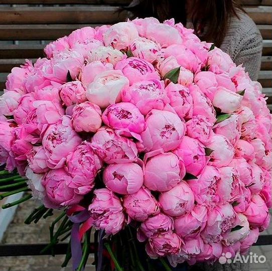 Пионы Букет