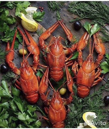 Живые раки