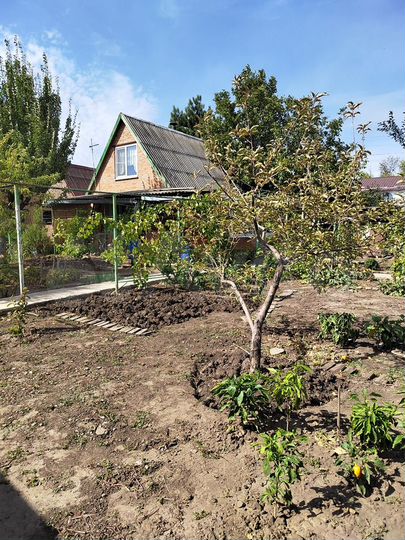 Дача 32 м² на участке 6 сот.