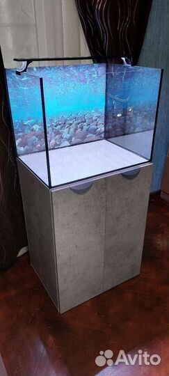 Новый аквариум 