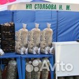 Мицелий вешенки штамма 35нк