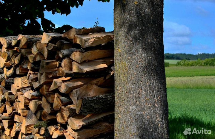 Дрова в баню на дачу