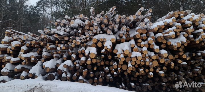 Лес кругляк