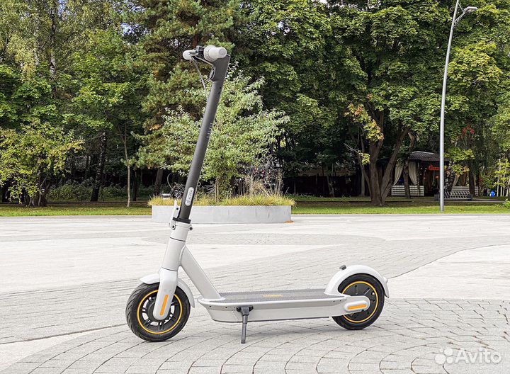 Серый Электросамокат Ninebot Kickscooter MAX G30L