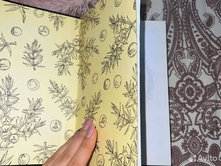 Книга «Манускрипт» Анастасия Андрианова