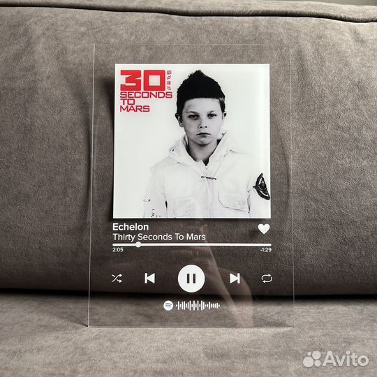 Трек-пластинка с живым фото